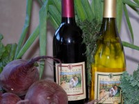 Summer 2014 Kayaking Event